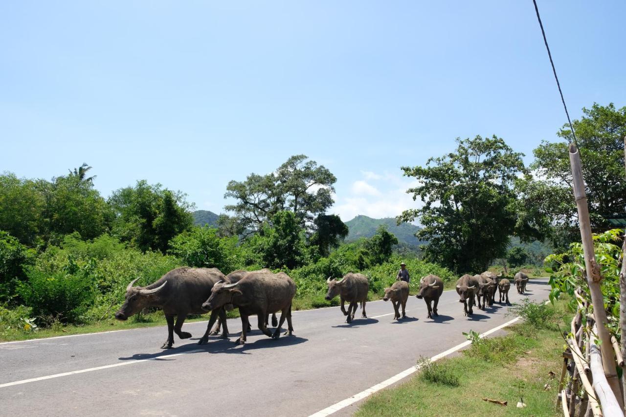 Suku Lifestyle Hotel & Villas Selong Belanak Luaran gambar